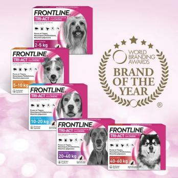 FRONTLINE TRI-ACT для собак весом от 40 до 60 кг - 3 шт.